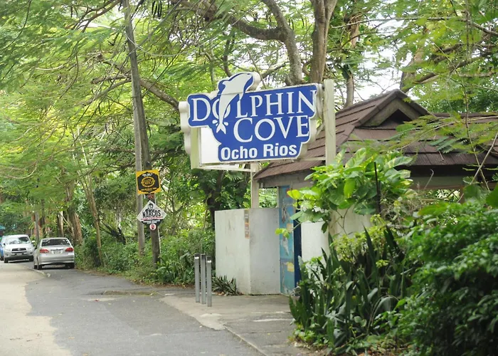 Aileen Palm Cove Ja Ocho Ríos