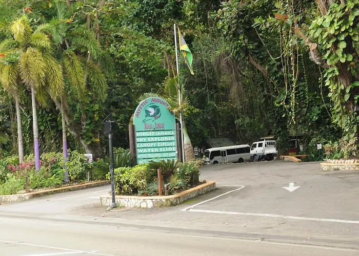 Aileen Palm Cove Ja *